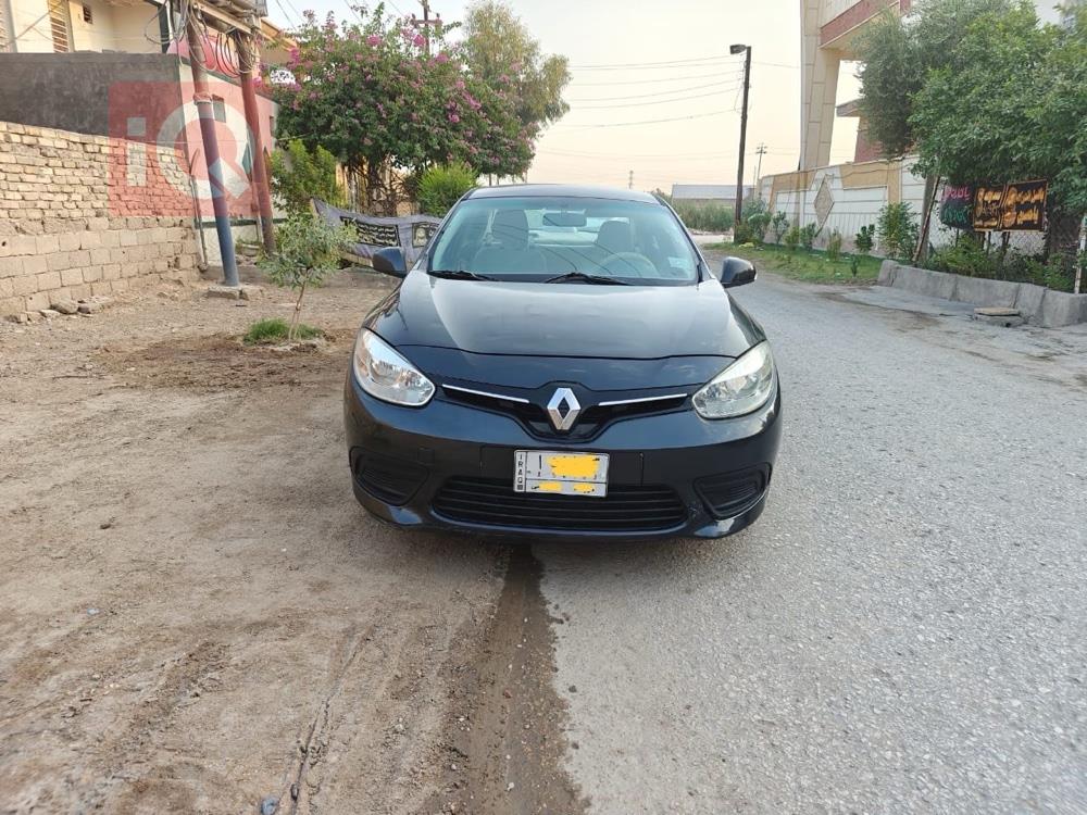 رينو فلوينس